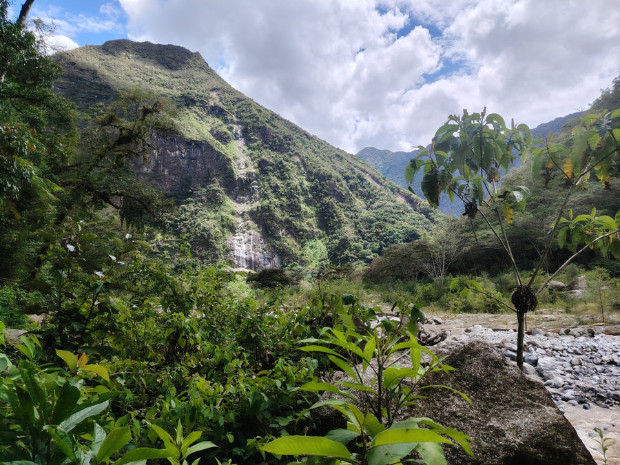 Photo du voyage à l’origine du rituel NomadFlow